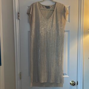 Elegant Champagne V-Neck Dress